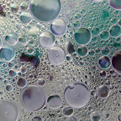 Grid Image 3
